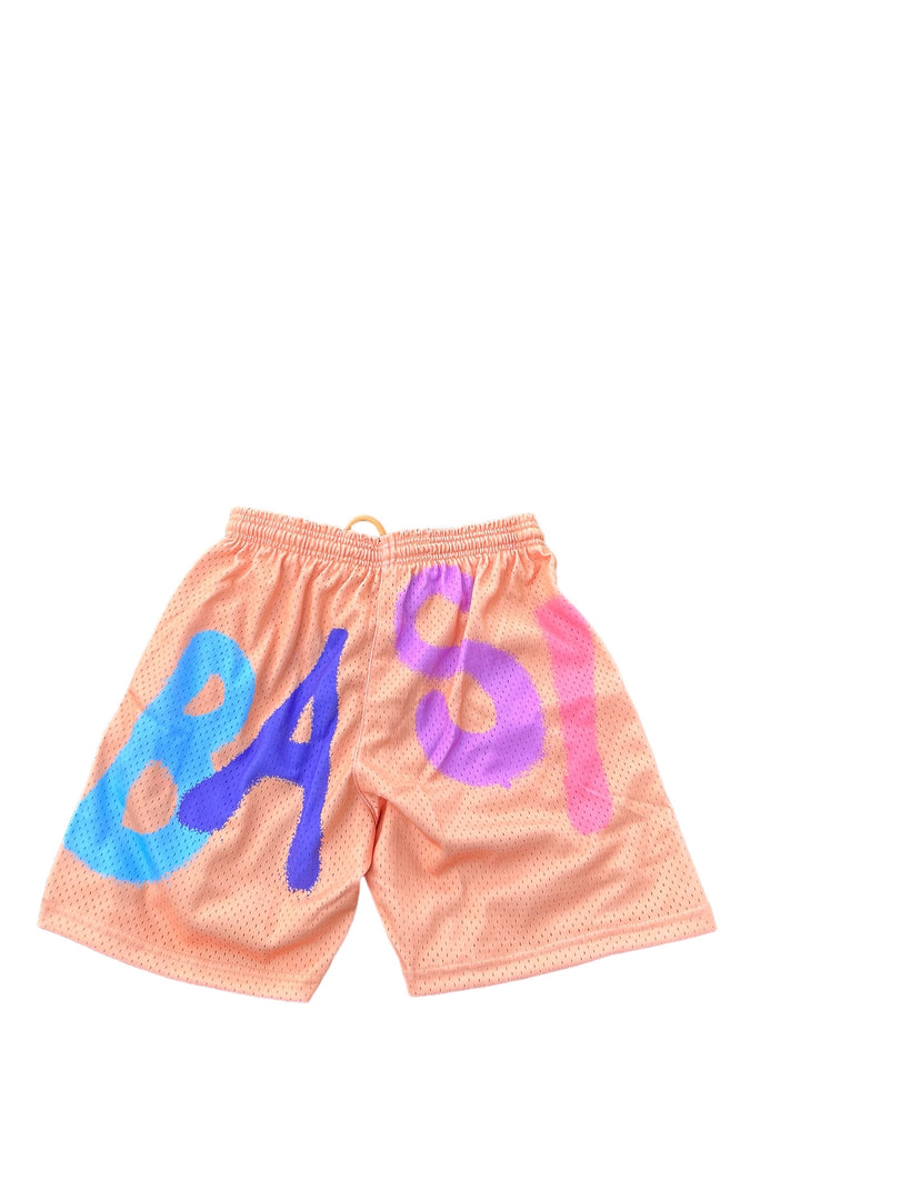 Ellebasi Color Block Mesh Shorts